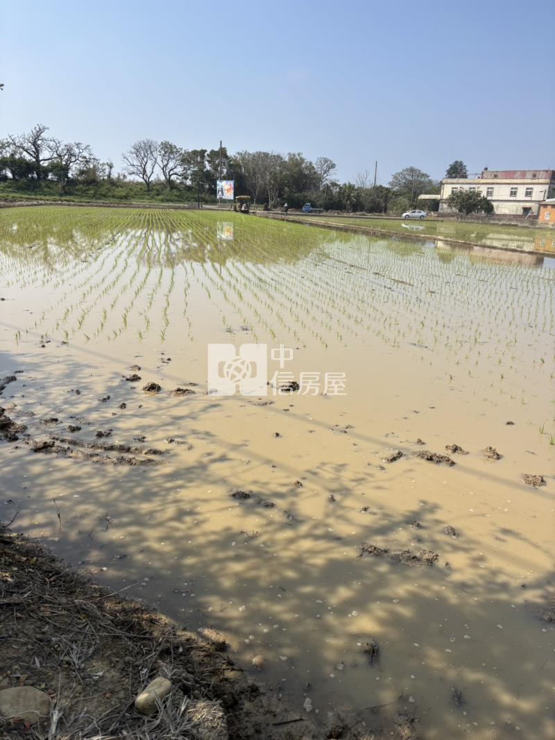 精華國小三面臨路田