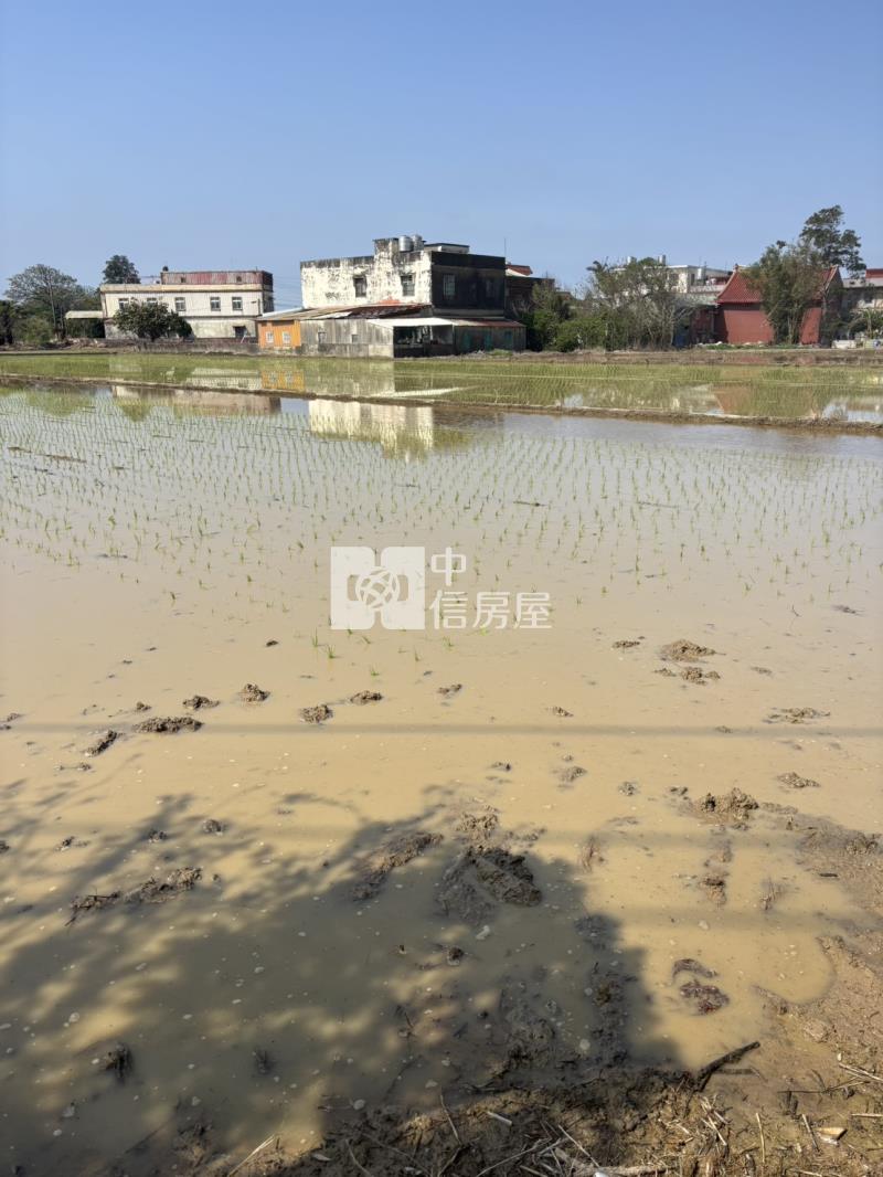 精華國小三面臨路田房屋室內格局與周邊環境