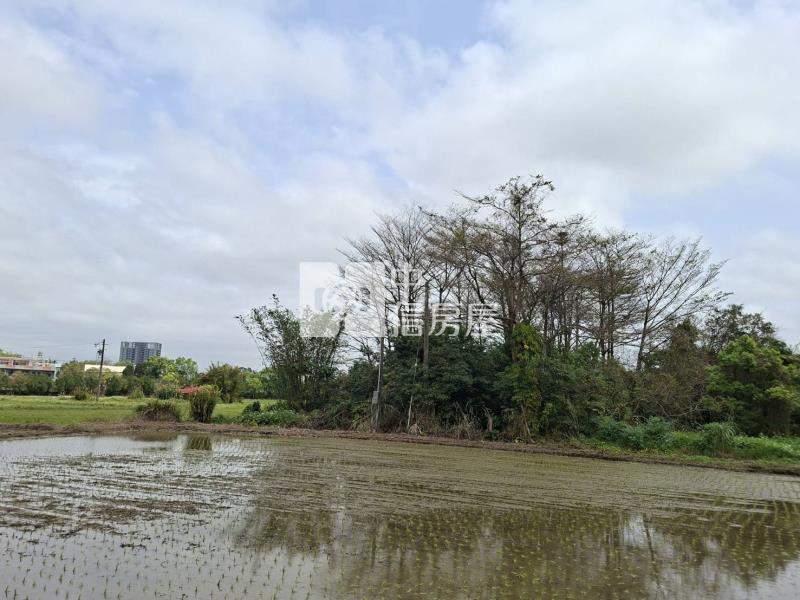 【安家】專任-平鎮區吉安段美農地房屋室內格局與周邊環境