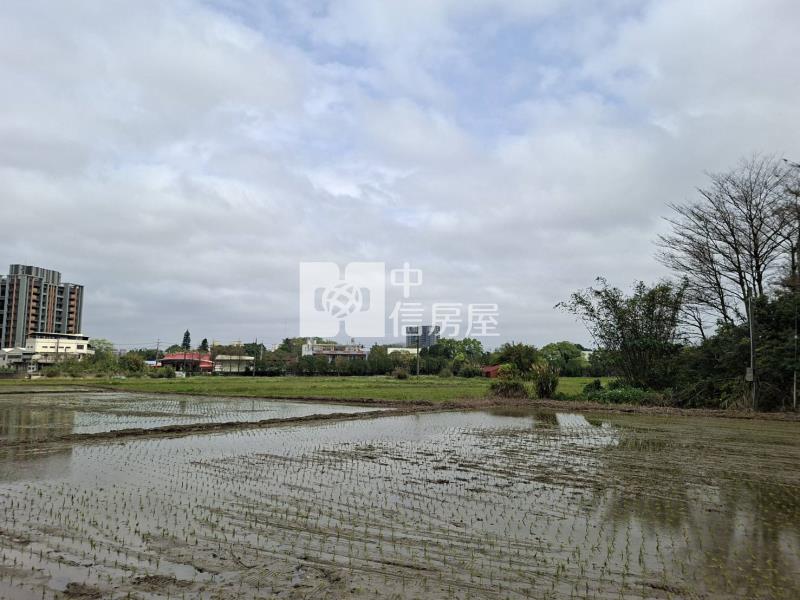 【安家】專任-平鎮區吉安段美農地房屋室內格局與周邊環境