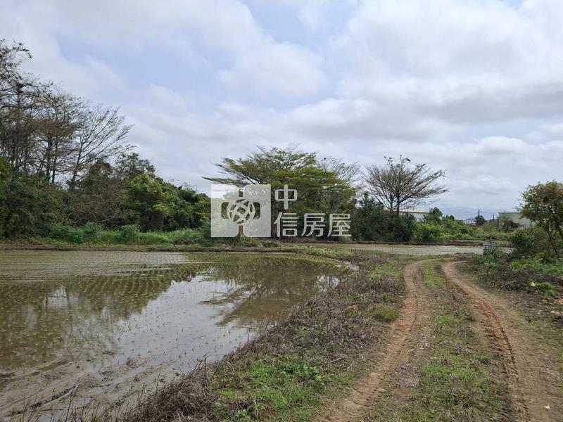 【安家】專任-平鎮區吉安段美農地房屋室內格局與周邊環境