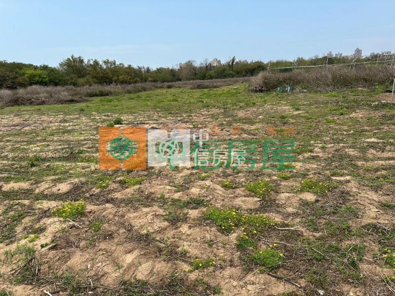 金城美農地房屋室內格局與周邊環境