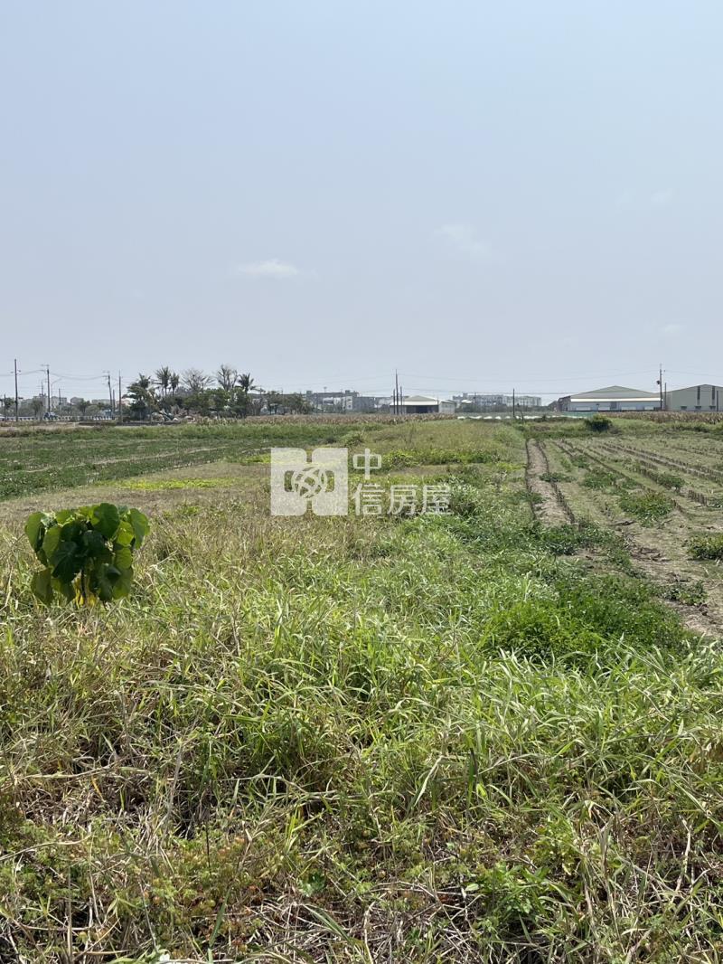 將軍台17旁臨路農地房屋室內格局與周邊環境