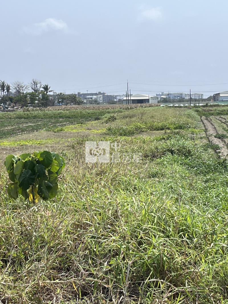 將軍台17旁臨路農地房屋室內格局與周邊環境
