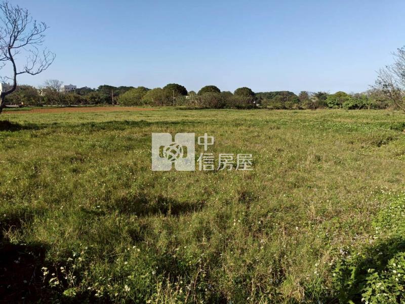 大觀路旁大面寬一般農房屋室內格局與周邊環境