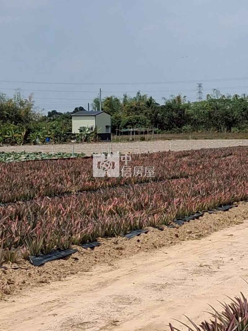 新市日潭段合法農業資材室農地房屋室內格局與周邊環境