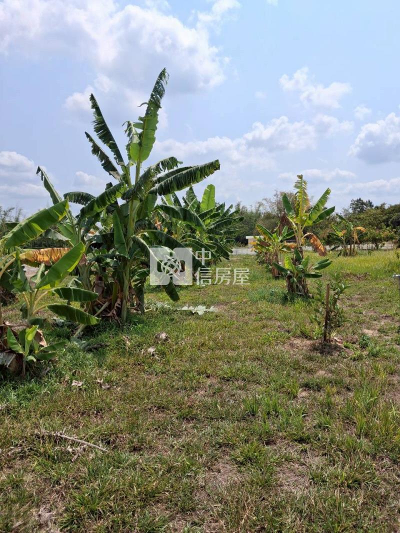 新市日潭段合法農業資材室農地房屋室內格局與周邊環境