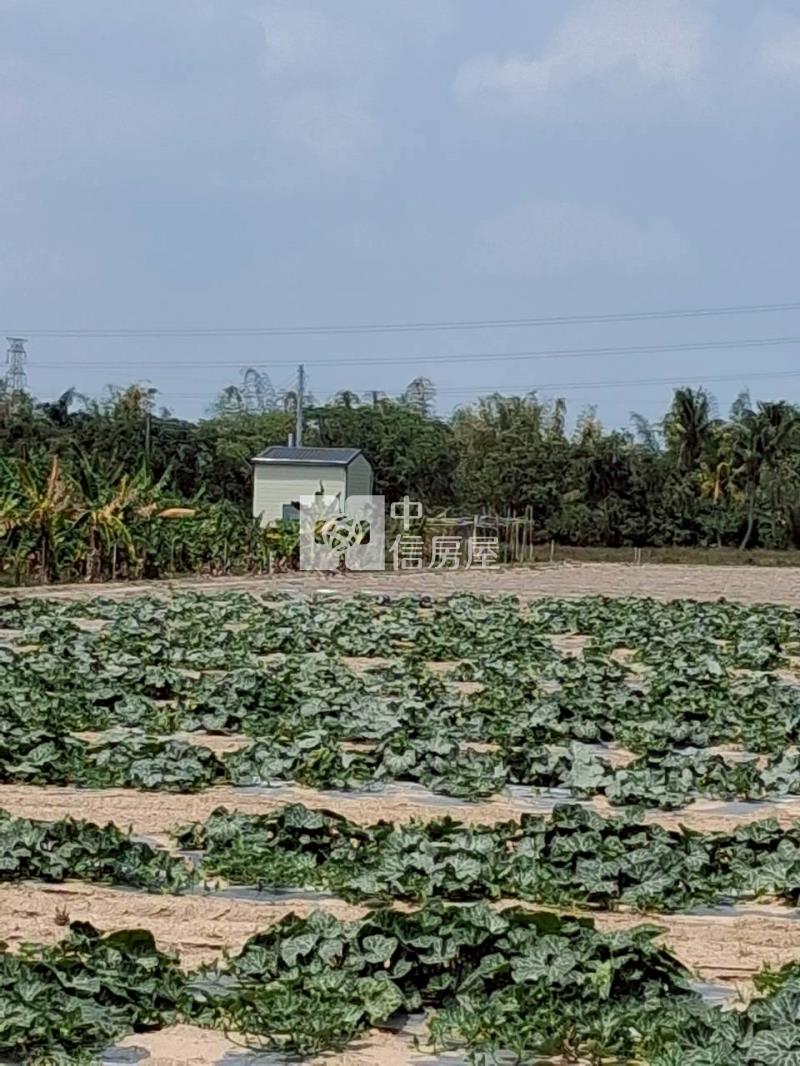 新市日潭段合法農業資材室農地房屋室內格局與周邊環境