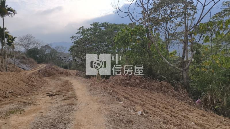 國姓小農地房屋室內格局與周邊環境