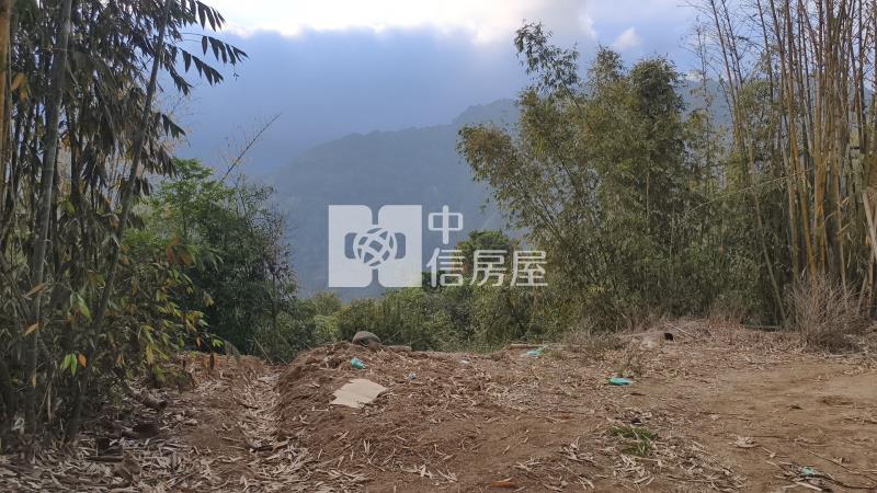 國姓小農地房屋室內格局與周邊環境