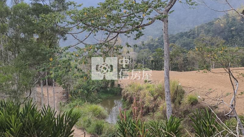 國姓小農地房屋室內格局與周邊環境