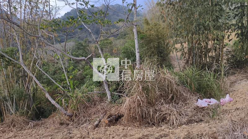 國姓小農地房屋室內格局與周邊環境