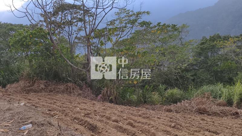 國姓小農地房屋室內格局與周邊環境