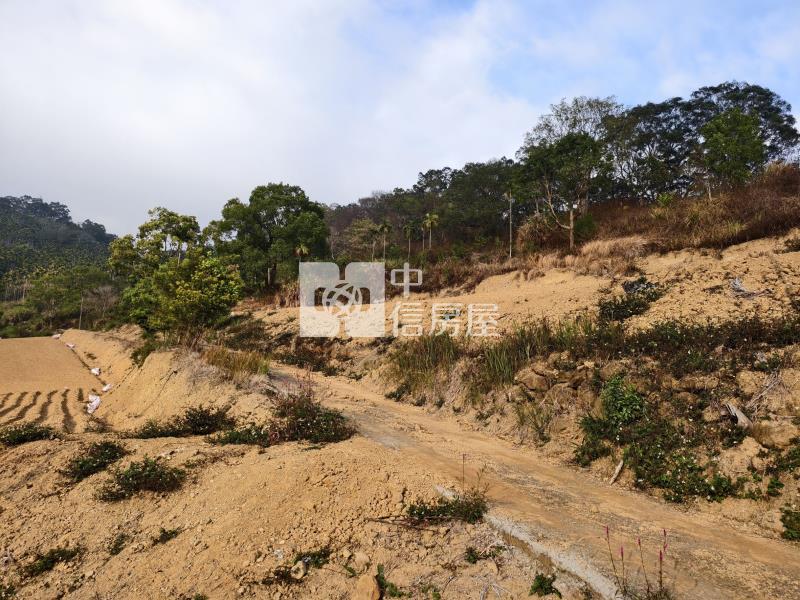 國姓小農地房屋室內格局與周邊環境