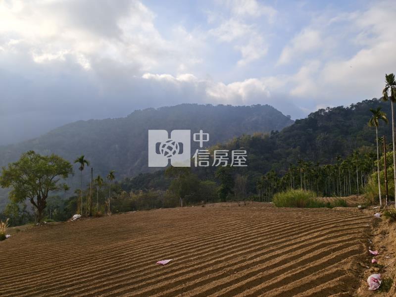 國姓小農地房屋室內格局與周邊環境