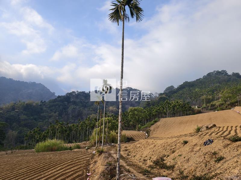 國姓小農地房屋室內格局與周邊環境