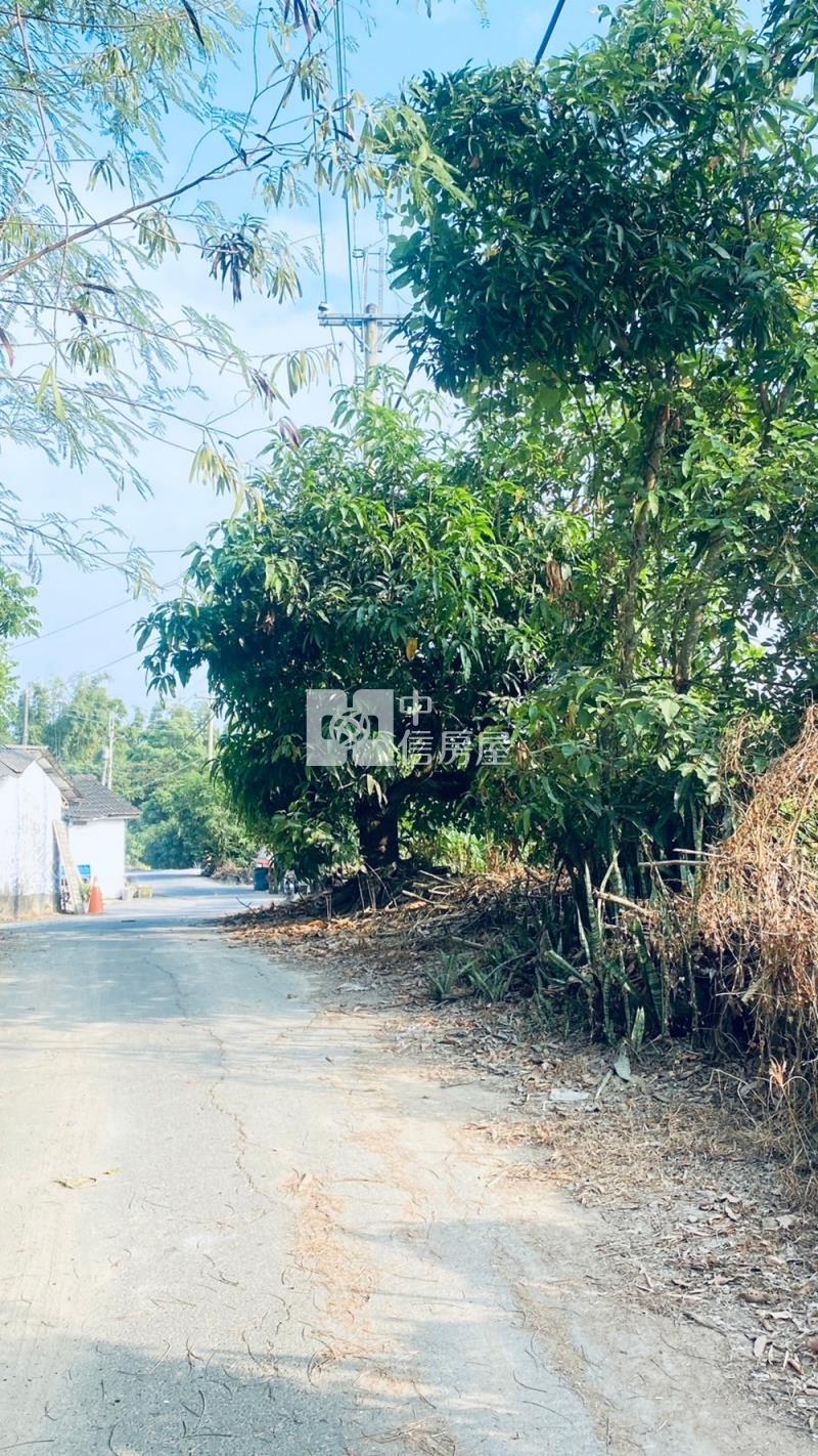 玉井區大面寬千坪丙建房屋室內格局與周邊環境