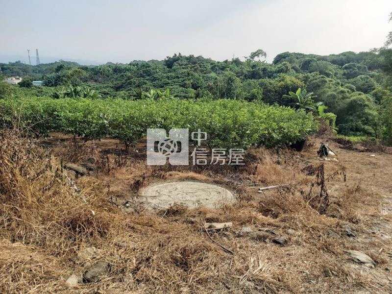 玉井區大面寬千坪丙建房屋室內格局與周邊環境