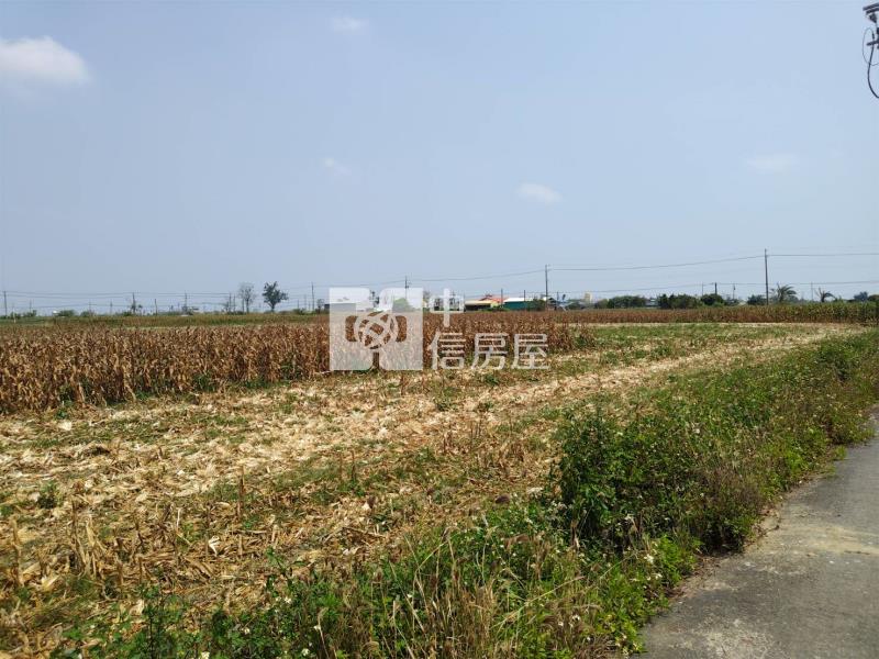 (專)下營大屯寮方正農地房屋室內格局與周邊環境