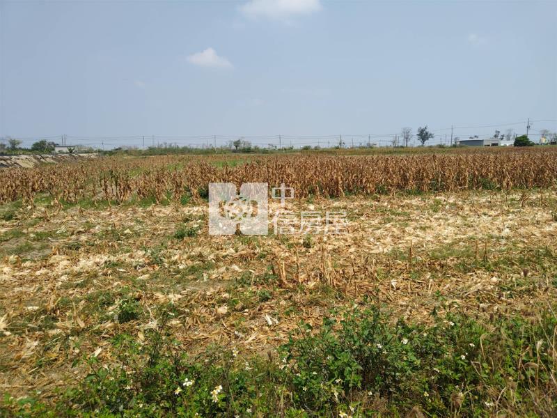 (專)下營大屯寮方正農地房屋室內格局與周邊環境