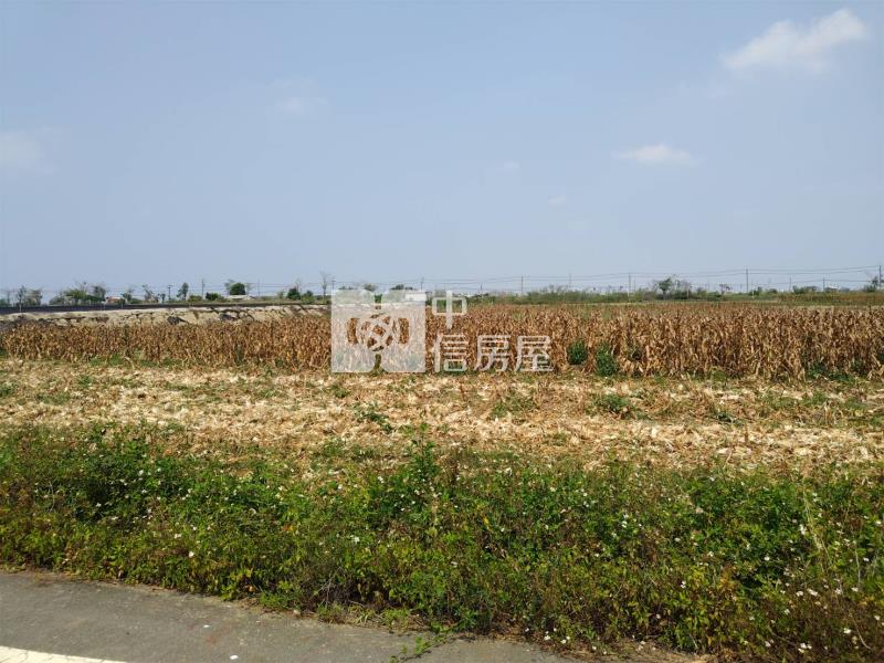 (專)下營大屯寮方正農地房屋室內格局與周邊環境