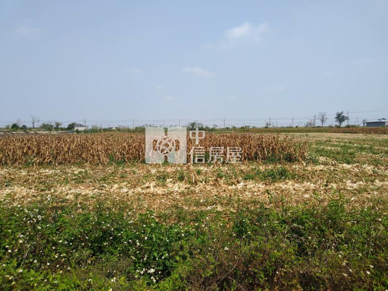 (專)下營大屯寮方正農地房屋室內格局與周邊環境