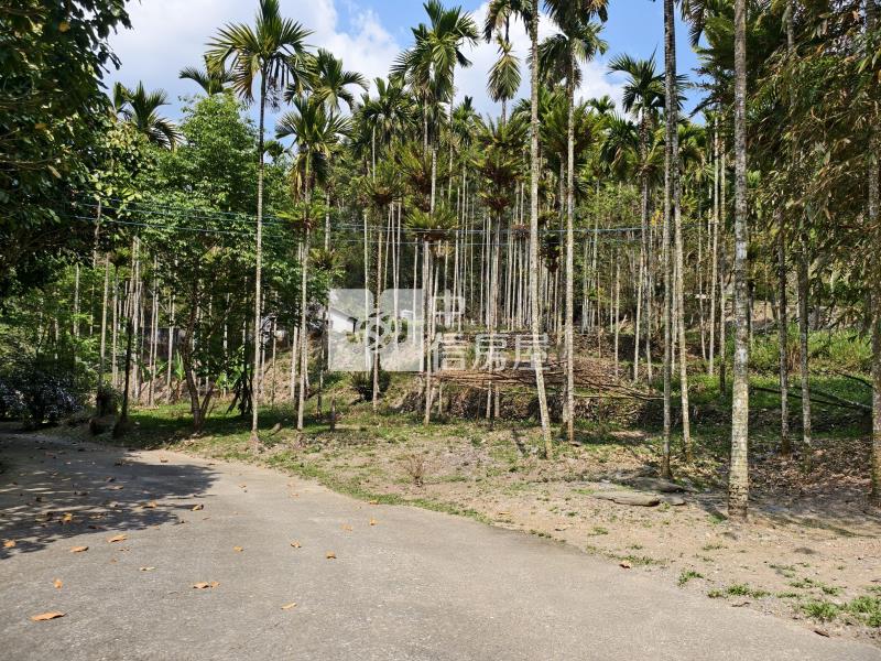 心想如院房屋室內格局與周邊環境