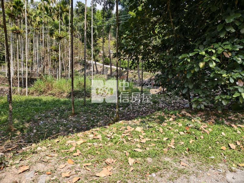 心想如院房屋室內格局與周邊環境