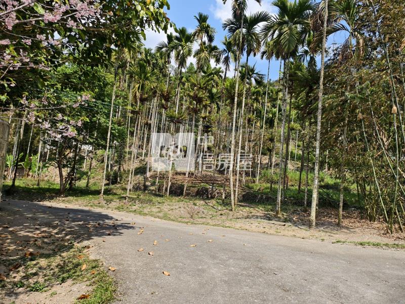 心想如院房屋室內格局與周邊環境