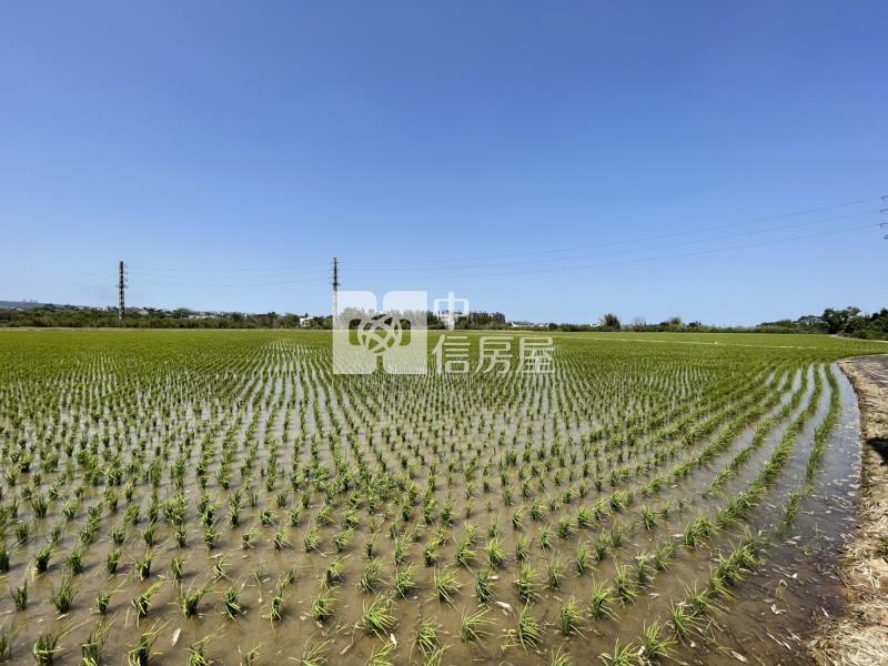 【新世紀】平鎮正福龍路特農房屋室內格局與周邊環境