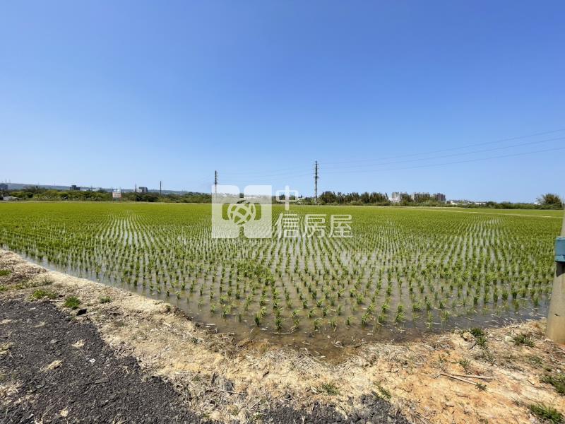 【新世紀】平鎮正福龍路特農房屋室內格局與周邊環境