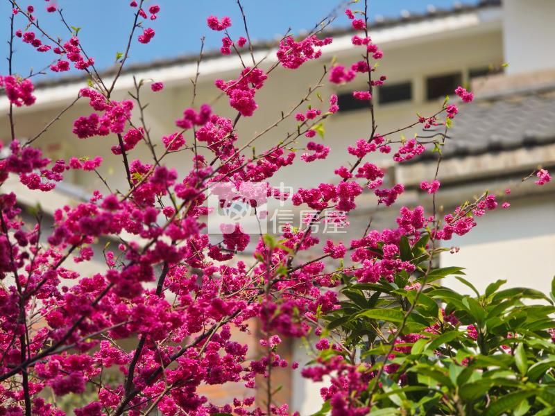 龍潭稀有歐式花園別墅房屋室內格局與周邊環境