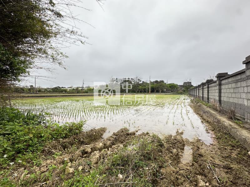 新屋社子國小旁美農地房屋室內格局與周邊環境