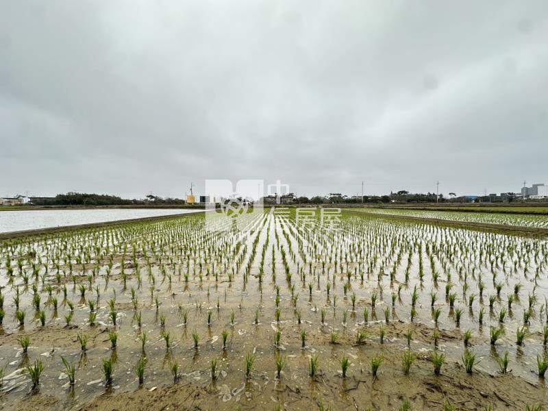 新屋社子國小旁美農地房屋室內格局與周邊環境