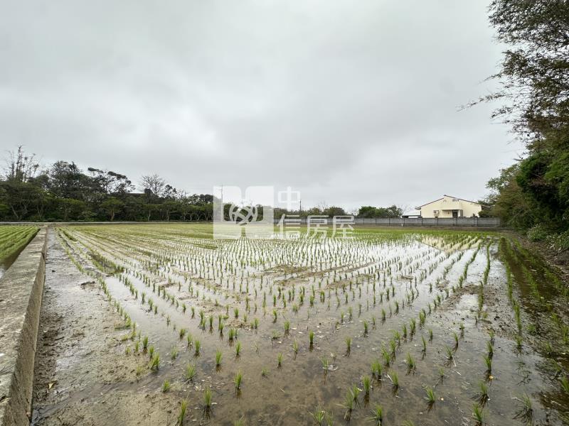 新屋社子國小旁美農地房屋室內格局與周邊環境
