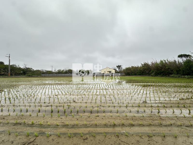 新屋社子國小旁美農地房屋室內格局與周邊環境