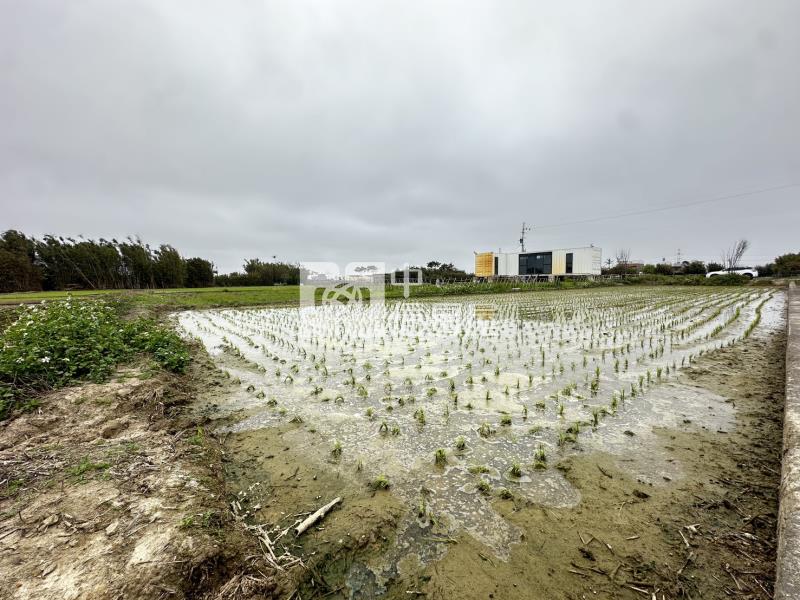 新屋社子國小旁美農地房屋室內格局與周邊環境