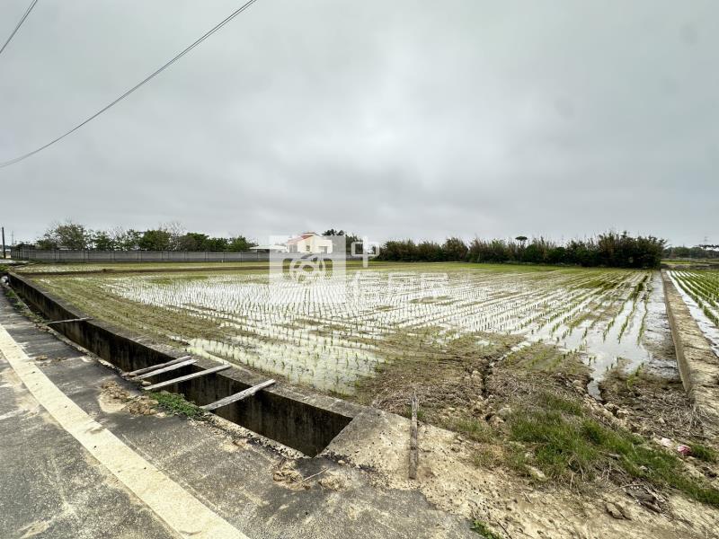 新屋社子國小旁美農地房屋室內格局與周邊環境