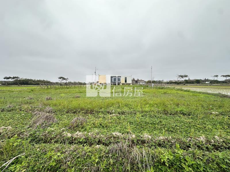 新屋社子國小旁美農地房屋室內格局與周邊環境