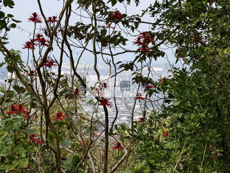 墨硯山南峰無限展望視野山坡地房屋室內格局與周邊環境