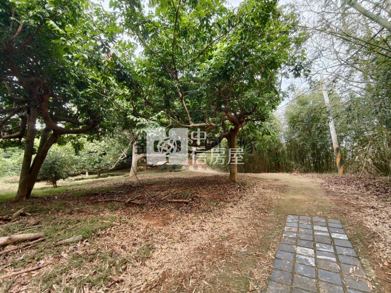 墨硯山南峰無限展望視野山坡地房屋室內格局與周邊環境