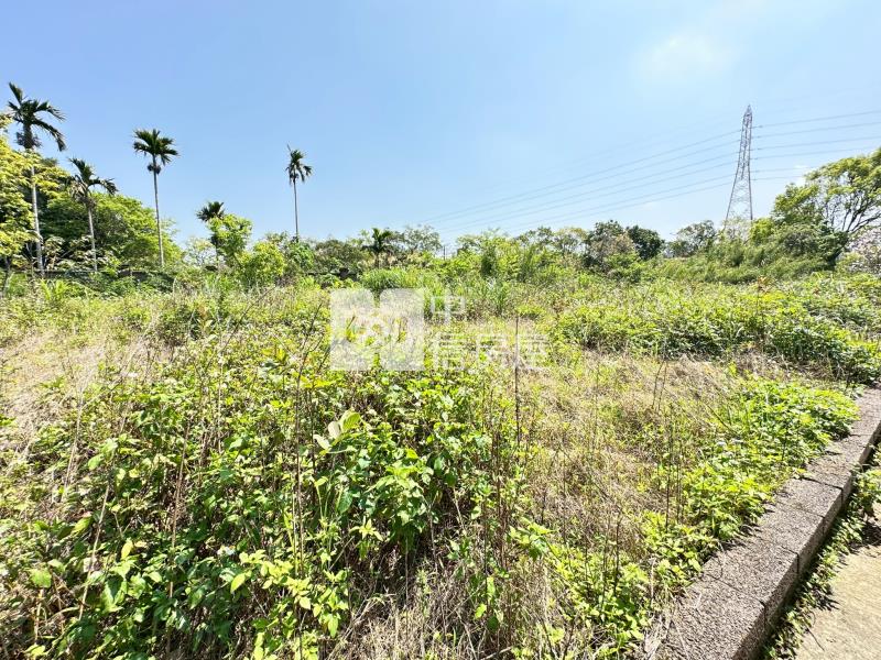 龍潭交流道鋼造屋建地+農地房屋室內格局與周邊環境