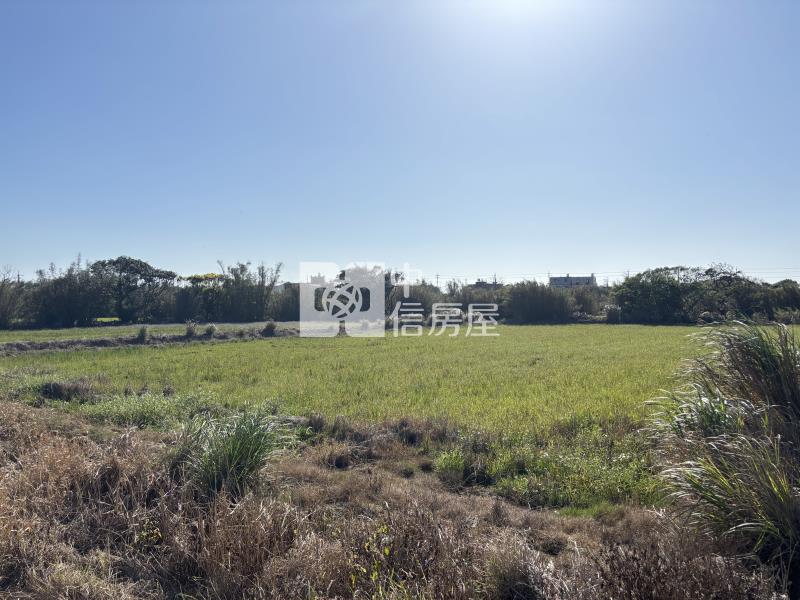 觀音育仁段低價方正農地房屋室內格局與周邊環境