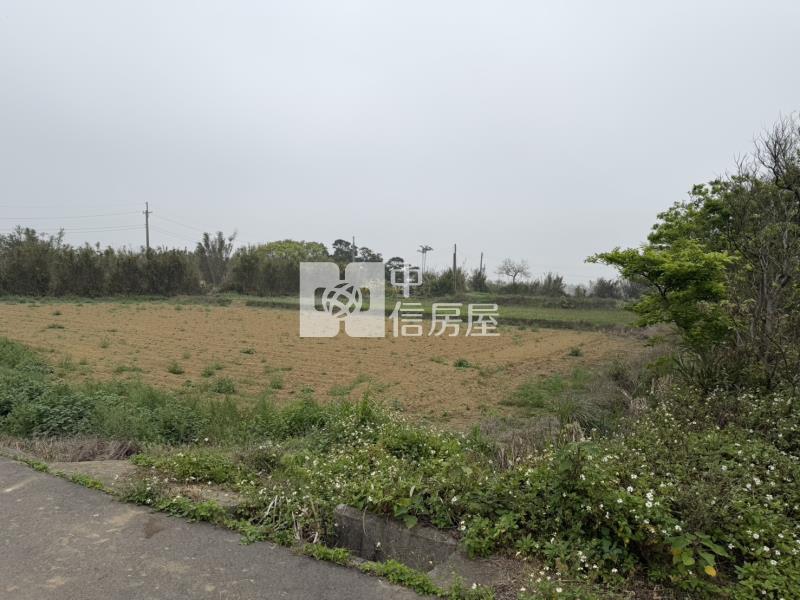 楊梅漂亮投資美農地房屋室內格局與周邊環境