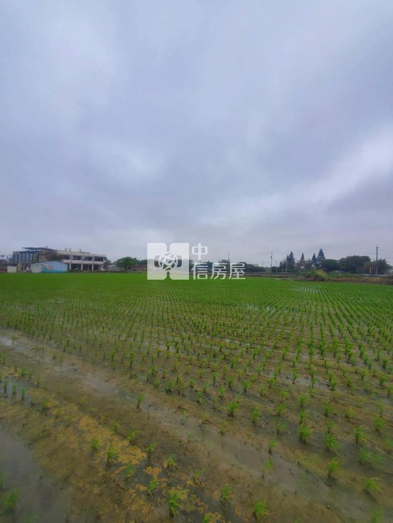 新屋區下田心子段特農地房屋室內格局與周邊環境