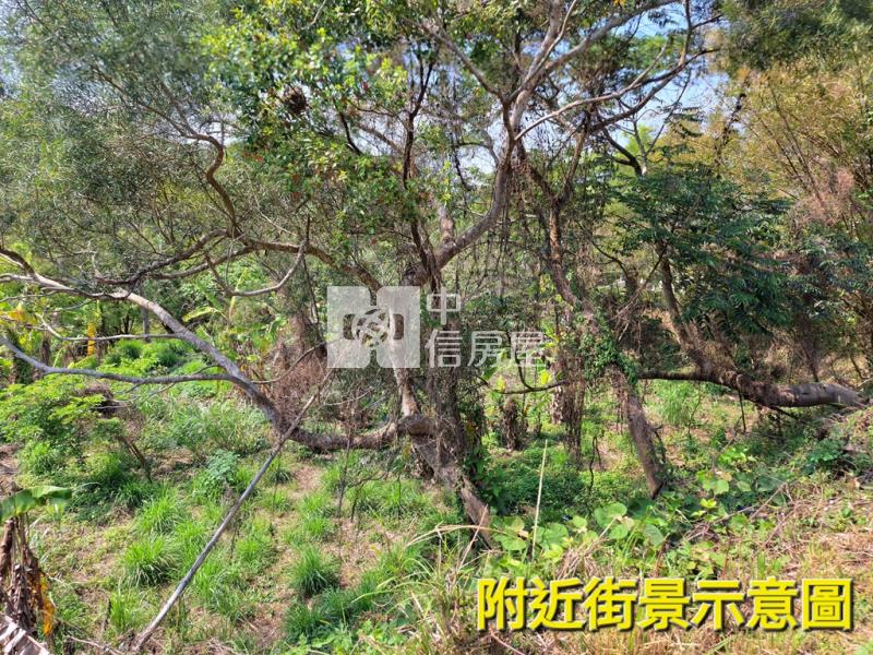 希望之丘絕美臨路休閒農地房屋室內格局與周邊環境