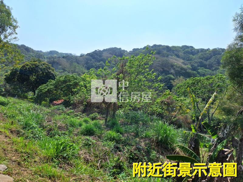 希望之丘絕美臨路休閒農地房屋室內格局與周邊環境