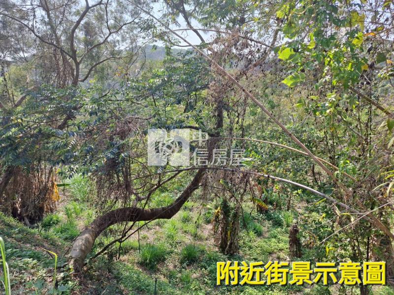 希望之丘絕美臨路休閒農地房屋室內格局與周邊環境