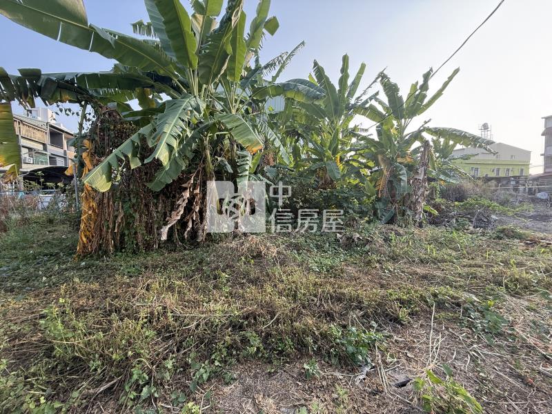 九如近三多國小方正建地房屋室內格局與周邊環境