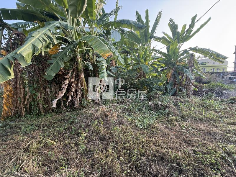 九如近三多國小方正建地房屋室內格局與周邊環境